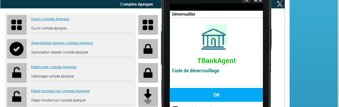 finafirst logiciel microfinance